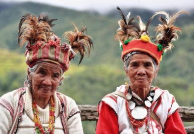 The Forests of Paraguay | VisitParaguay.net